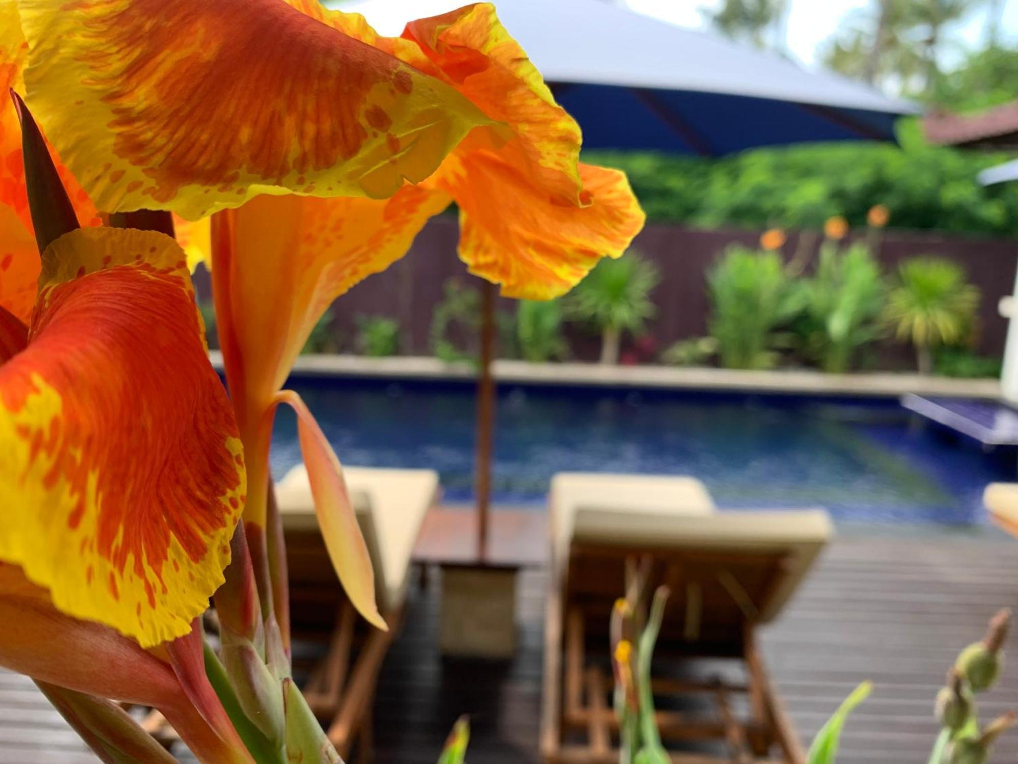 Relax Villas Gili Air Luaran gambar